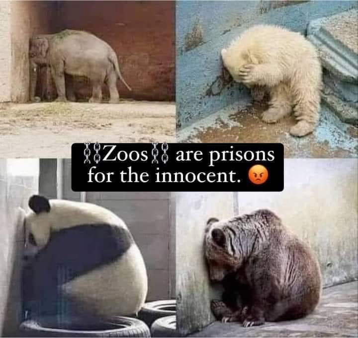 Kirk Rhoads (@kirkrhoads) on Twitter photo 