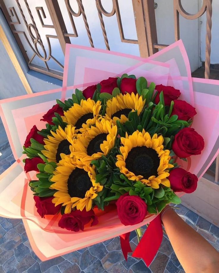 beauty to my eyes🌻