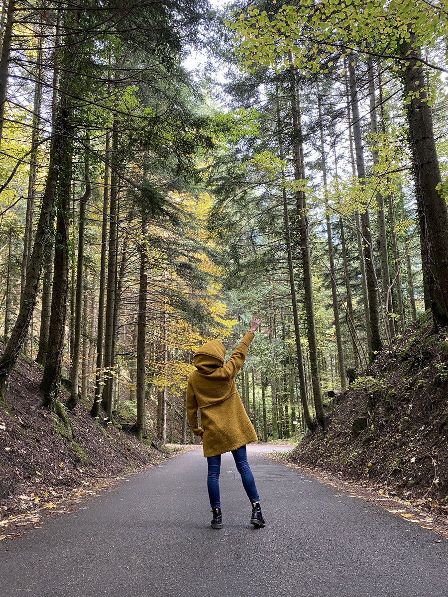 Hai detto Autunno 🍂? 
Ti rispondo: Casentino!

Ecco un itinerario toscano per ammirare il #foliage (e non solo!) 

vm.tiktok.com/ZGJ7ydtbM/