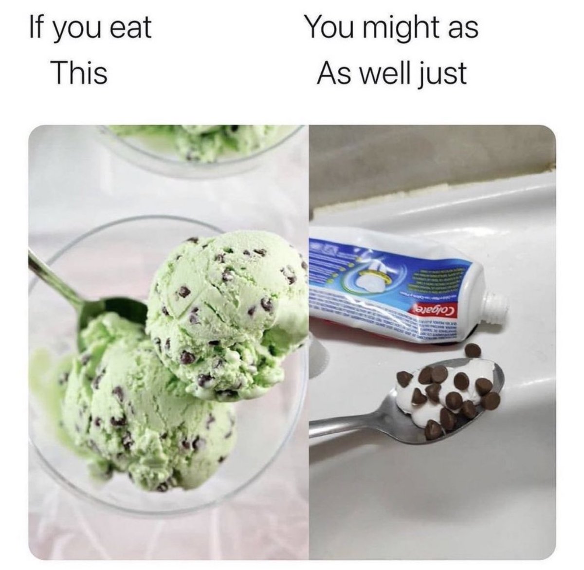 NoContextHumans's tweet photo. https://t.co/b3rDX24c0U