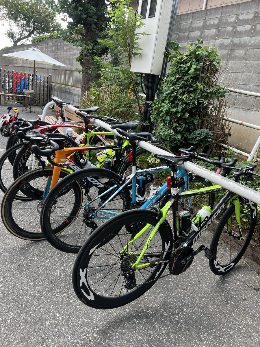 TEAM お魚チンパンジー (@TEAMOSACHIN) / Posts / X