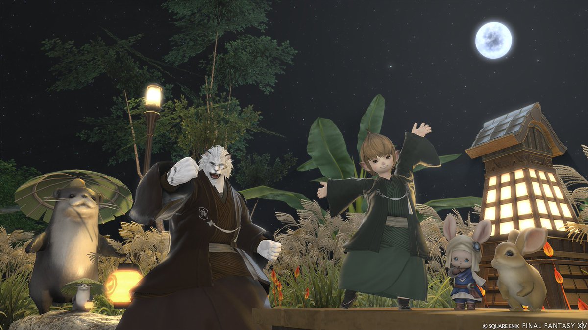 🌱FF14初心者の館 【公式】 tweet media