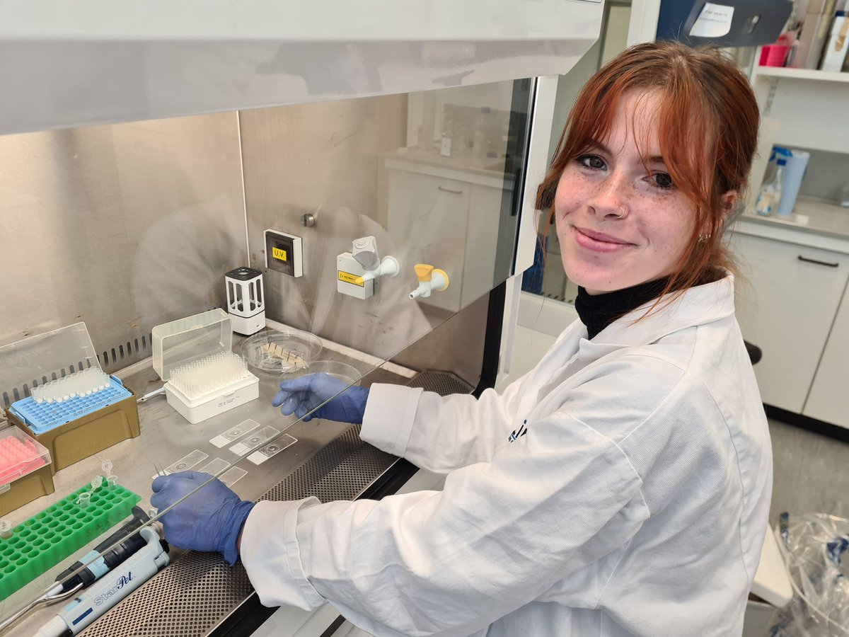 Hahn Lab tweet media