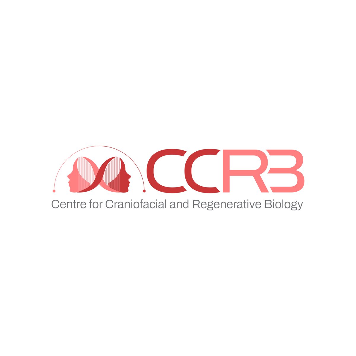 🚨Our new fresh logo for the department #CCRB coming soon to posters and presentations worldwide. 

Design by Mu Yuan and Chunling Tang