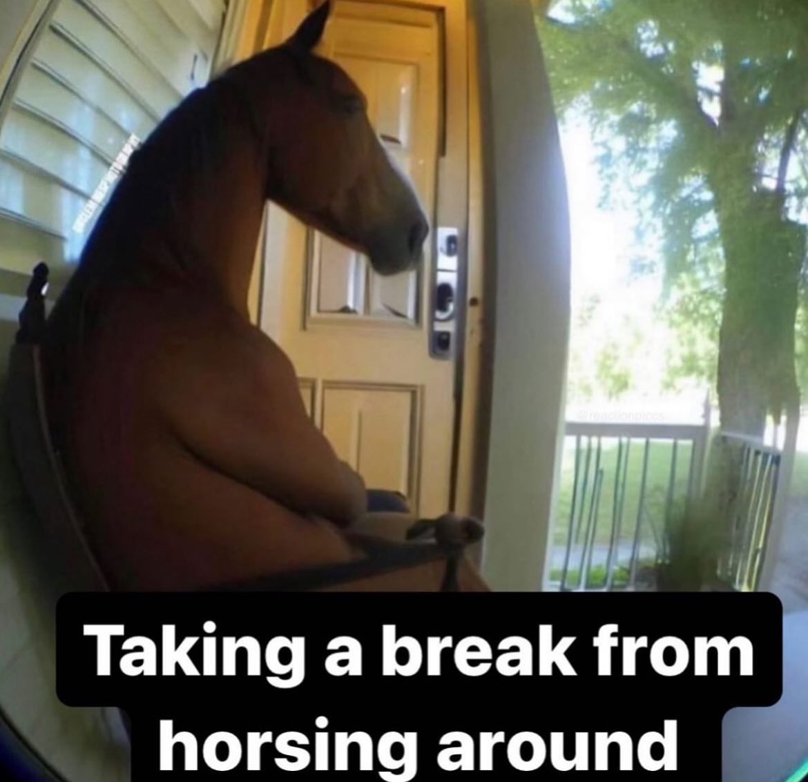 no context memes (@weirddalle) on Twitter photo 