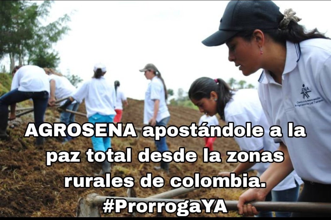 oscar barroso tweet media