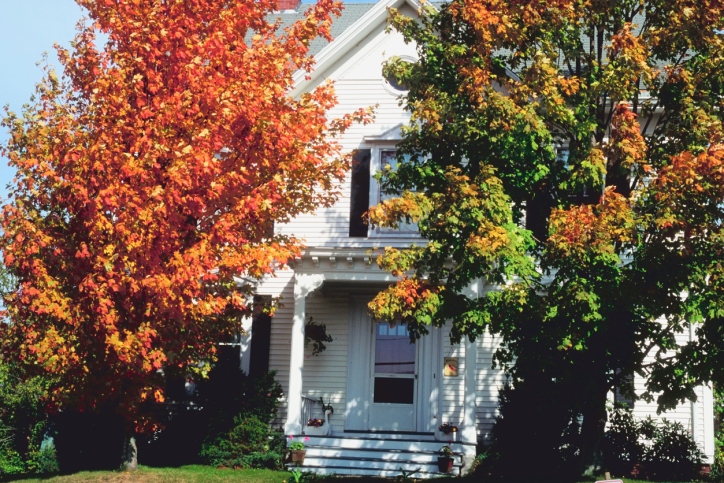 koryjackson's tweet photo. Autumn Home Staging: How to Set Your Home Up to Match the Warm, Rich Colors of Autumn https://t.co/YK90nMZfr8 https://t.co/nW9sJ0qKTN