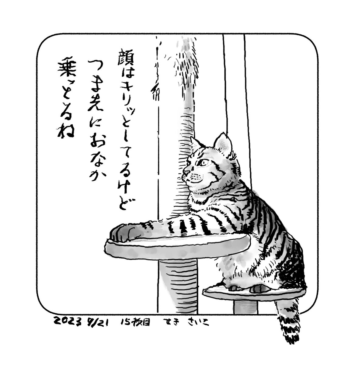 雑日記兼左手チャレンジ
特に猫はキリッとしてるつもりはないんだろうけどそういう表情に見えるのであった。 