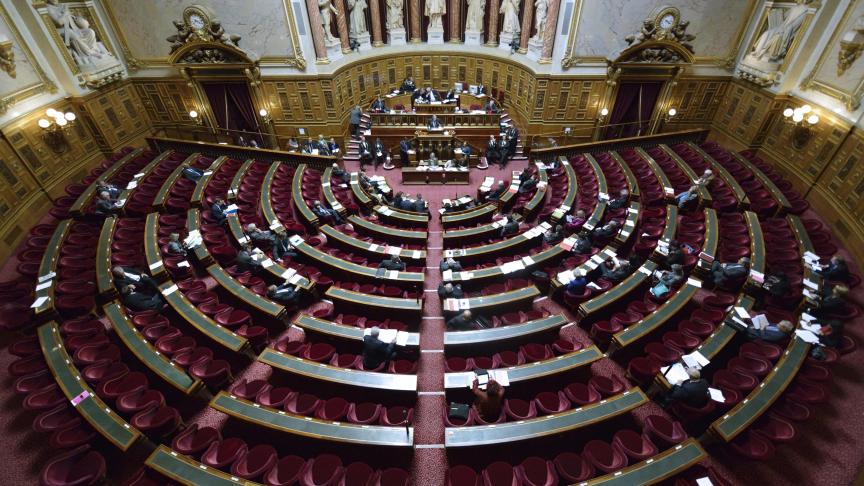 VDNRoubaix's tweet photo. #Senatoriales2023 : qui sont les candidats de l’agglomération de #Roubaix ?
➡️https://t.co/uv4pCpbGgw https://t.co/zdPRGhQEpq