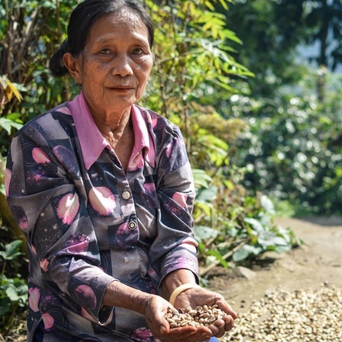 Every sun-dried coffee bean tells a story of resilience, tradition, and craftsmanship. As we celebrate these local heroes, let's raise a cup to the flavorful journey they've crafted for us. 🌞❤️ #morning #cafe #coffee #farmers #coffeeharvest #espresso #specialtycoffee #caffeine