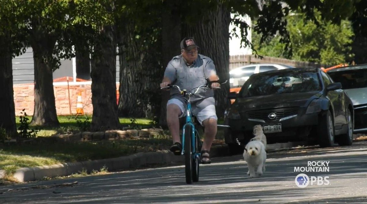 Kenmcld's tweet image. "Neel can cruise with ease at speeds up to 20 mph"

For his use case of biking with his dog, I don't think he's hitting 20 mph much... #20IsPlenty

When I say I want #SlowRoads I mean older adults getting exercise with their dogs slow