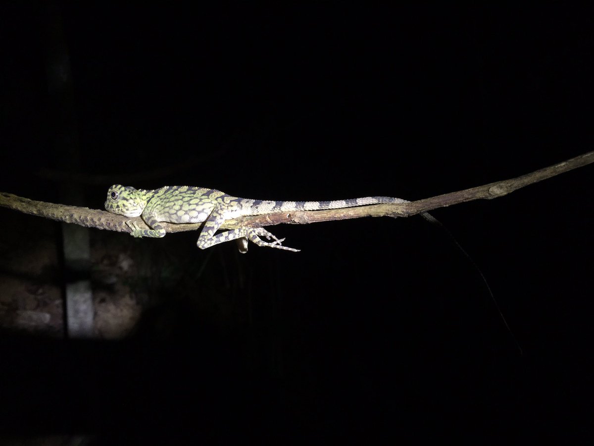 Jennifer Sheridan tweet media