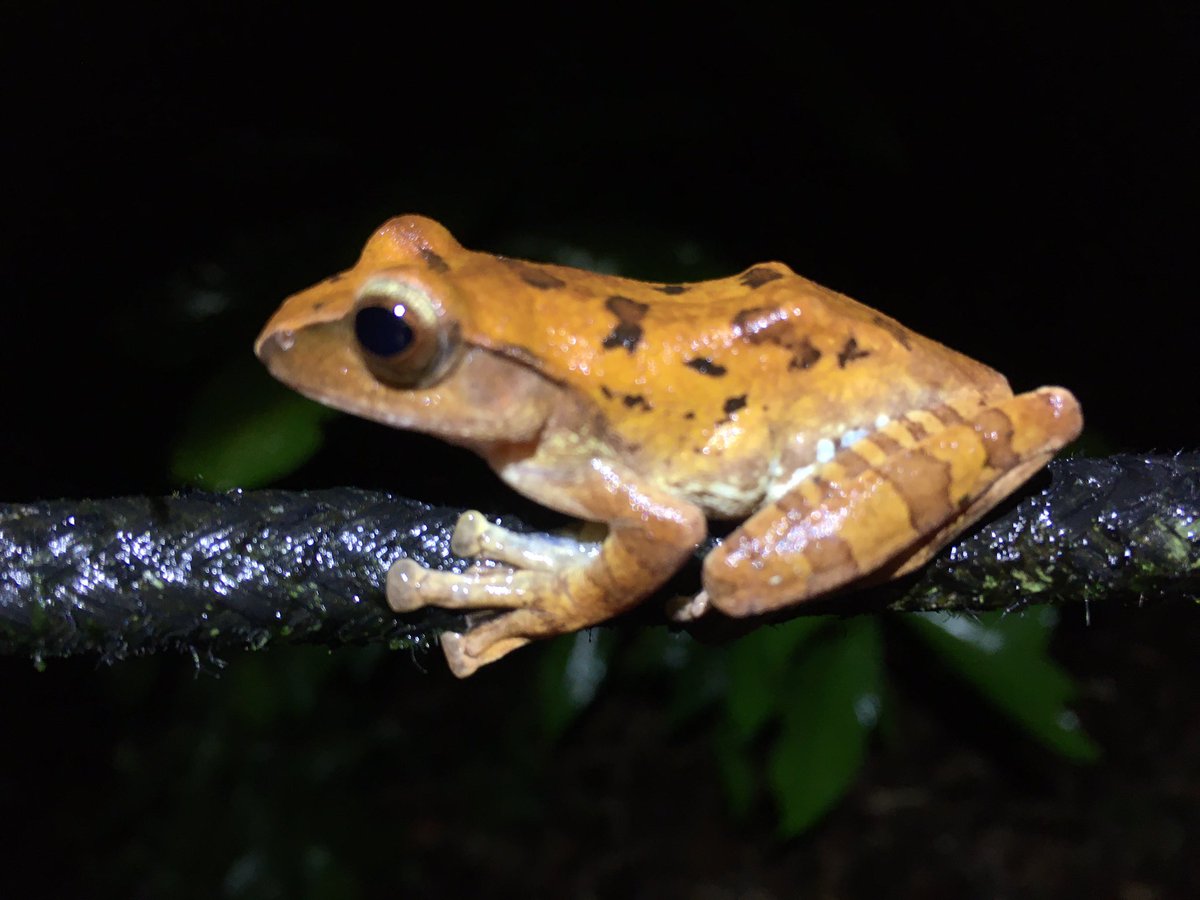 Jennifer Sheridan tweet media