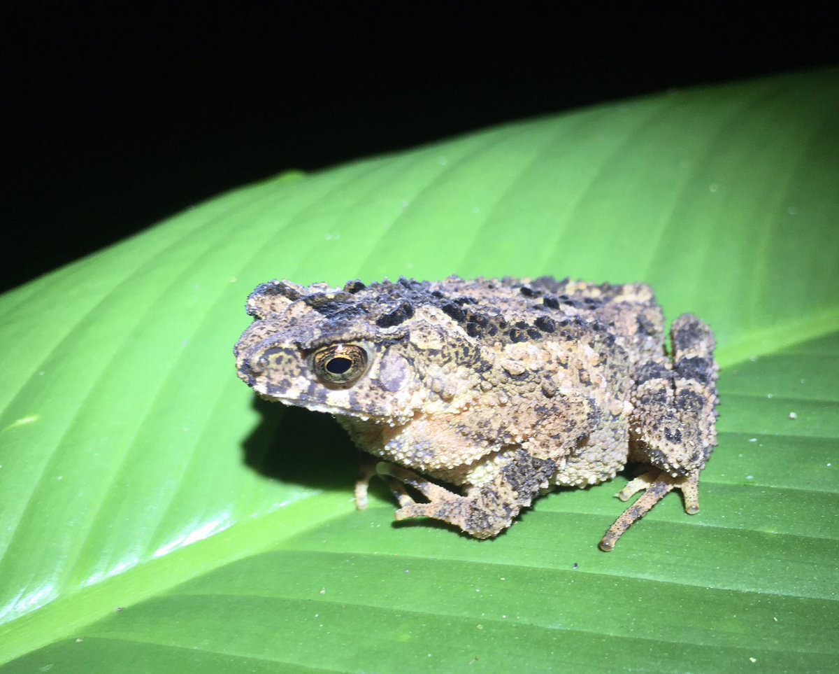 Jennifer Sheridan tweet media