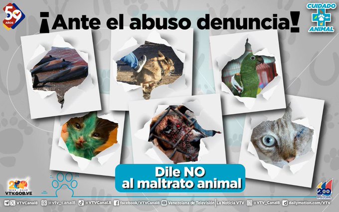 #NoAlMaltratoAnimal🐾| Los animales no deben ser maltratados, recuerda siempre que es nuestro deber protegerlos.
Si eres testigo de algún abuso contra los animales es tu deber cívico denunciarlo ante las autoridades competentes..

#LiberaciónDeTocorón