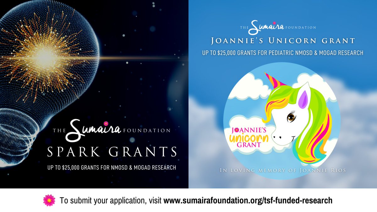 1⃣ month left to apply for a $25,000 TSF research grant for #NMOSD and/or #MOGAD 🌎🌍🌏 View our research portfolio & apply here: sumairafoundation.org/tsf-funded-res… #SpreadTheWord #NeuroTwitter