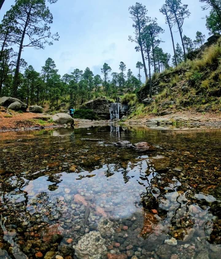 Hermoso ❤️