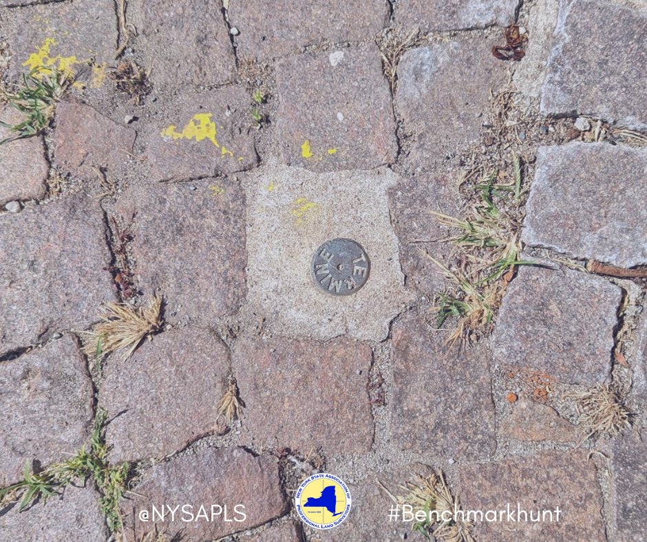 nysapls's tweet image. It has been a year of international benchmarks and control points, check out the latest find by NYSAPLS member Saeid Jalilvand, in Ascona, Switzerland! #BenchmarkHunt