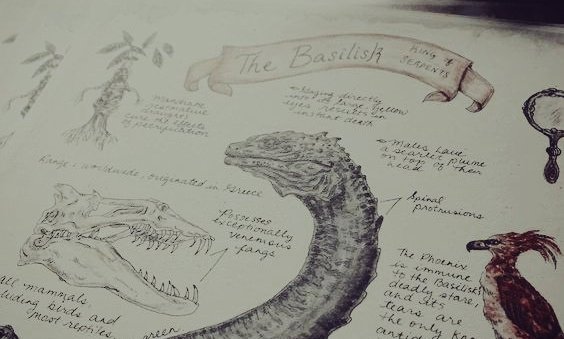 AcademiaDreams's tweet image. Hogwarts classes 🔮