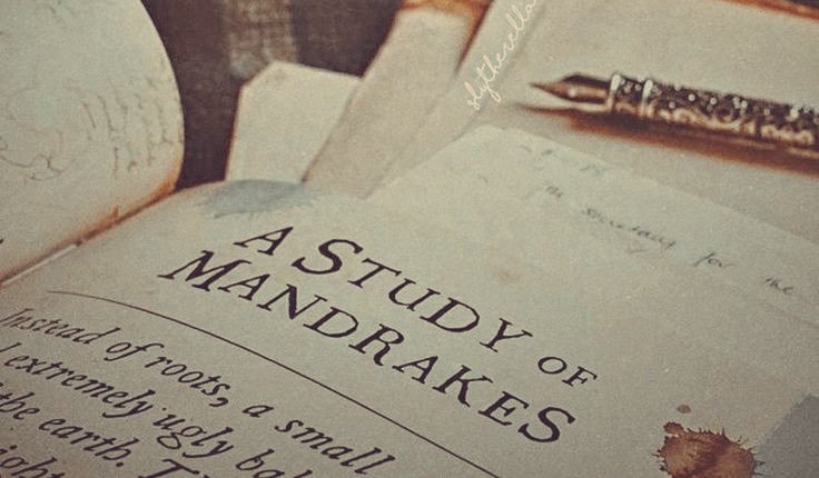 AcademiaDreams's tweet image. Hogwarts classes 🔮