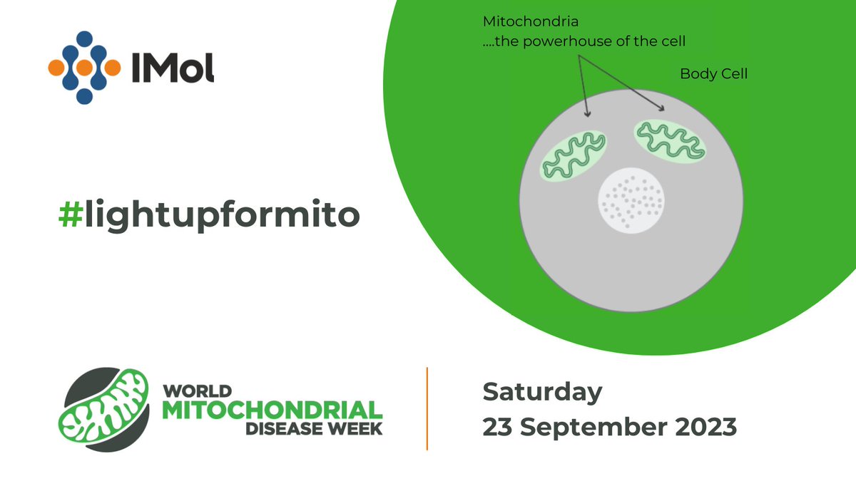 IMol_Institute's tweet photo. Mitochondrial diseases are now thought to be the 2nd most commonly diagnosed, serious genetic disease. IMol, where Chaciลska group and @KarolaSzczepan1 group focus on mitochondria-related diseases, joins #MitoWeek to raise awareness of it.
@PAN_akademia @NCN_PL @FNP_org_pl https://t.co/ffm8f0bsQf