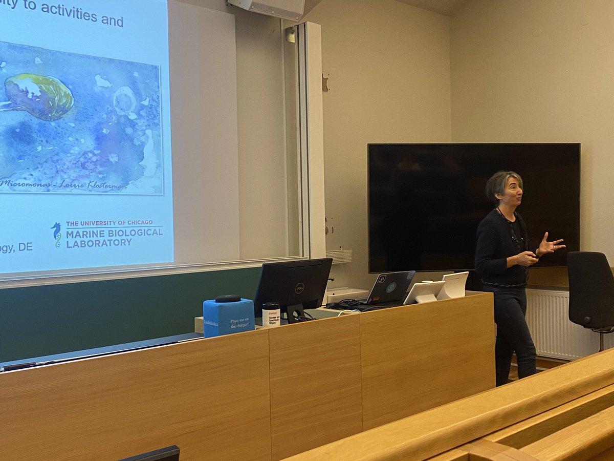 Stefan Bertilsson (@stebe69) on Twitter photo Organizing a mini symposium here in Uppsala dealing with microeukaryote diversity and ecology. First up Alex Worden talking about marine protists and their interactions (and biogeochemical implications of that. <a href="/MicrobialSweden/">AMRI (Aquatic Microbiome Research Initiative)</a> <a href="/scilifelab/">SciLifeLab</a> #planetarybiology Organizing a mini symposium here in Uppsala dealing with microeukaryote diversity and ecology. First up Alex Worden talking about marine protists and their interactions (and biogeochemical implications of that. <a href="/MicrobialSweden/">AMRI (Aquatic Microbiome Research Initiative)</a> <a href="/scilifelab/">SciLifeLab</a> #planetarybiology