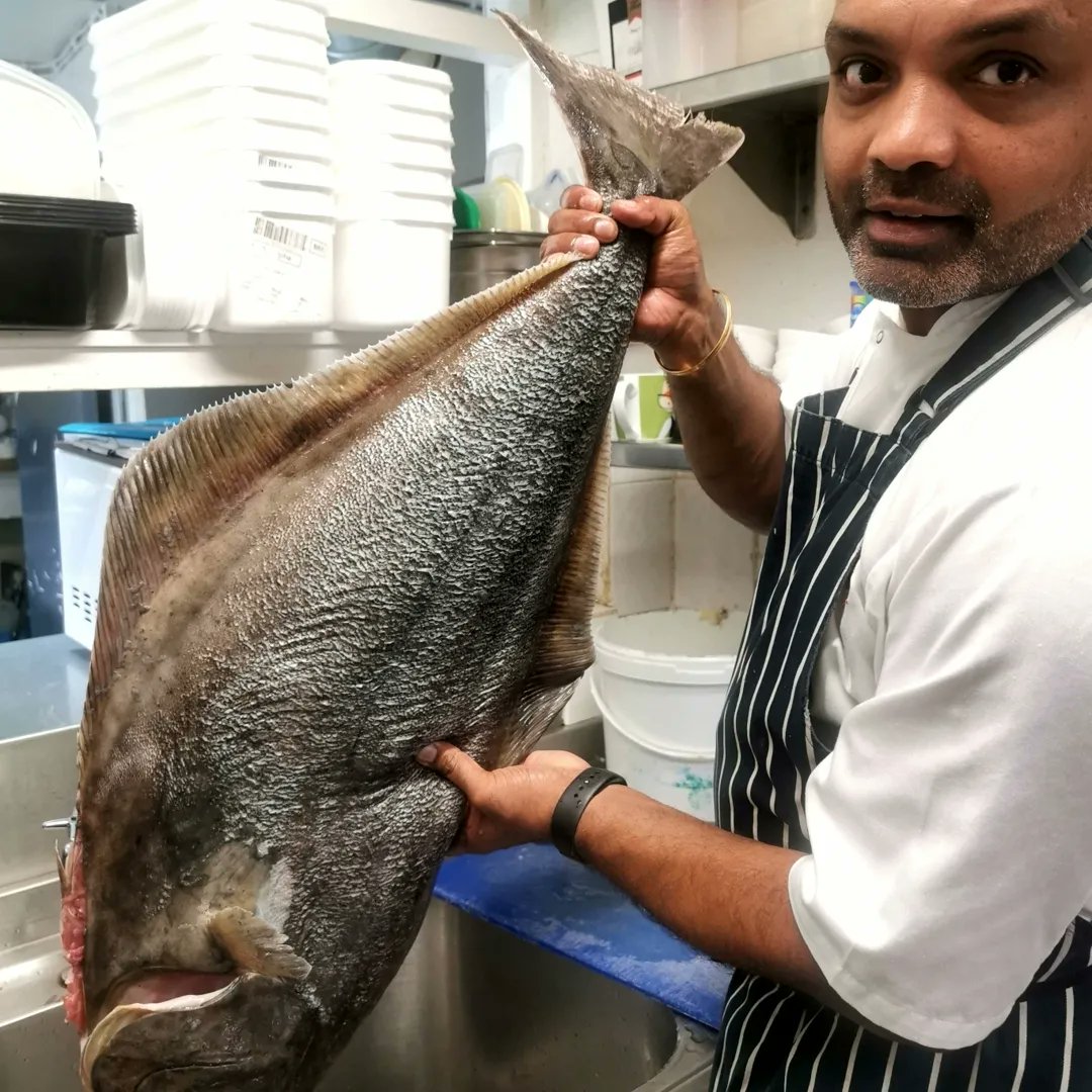 Todays catch of the day, Wild halibut.
#catchoftheday #EastCoastSeafood #seafoodlover