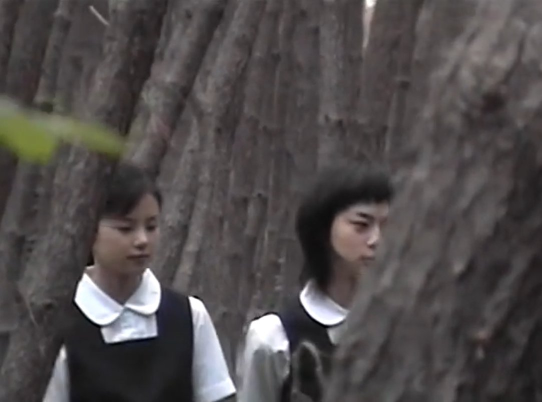 sᴇɴᴛɪᴍᴇɴᴛᴀʟ ɢɪʀʟ ᴠɪᴏʟᴇɴᴛ ᴊᴏᴋᴇ tweet media