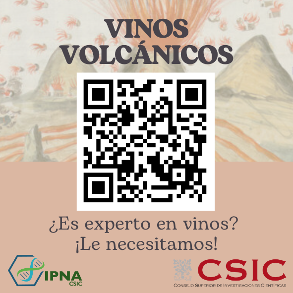 📢ESTUDIO ¿Eres bodeguero, enólogo, sumiller, viticultor, distribuidor o trabajas en una bodega, D.O o tienda especializada? Participa en este estudio sobre #vinosvolcánicos del grupo de Ciencias Sociales, Patrimonio y Alimentación del #IPNA 👇 bit.ly/vinos-volcanic…