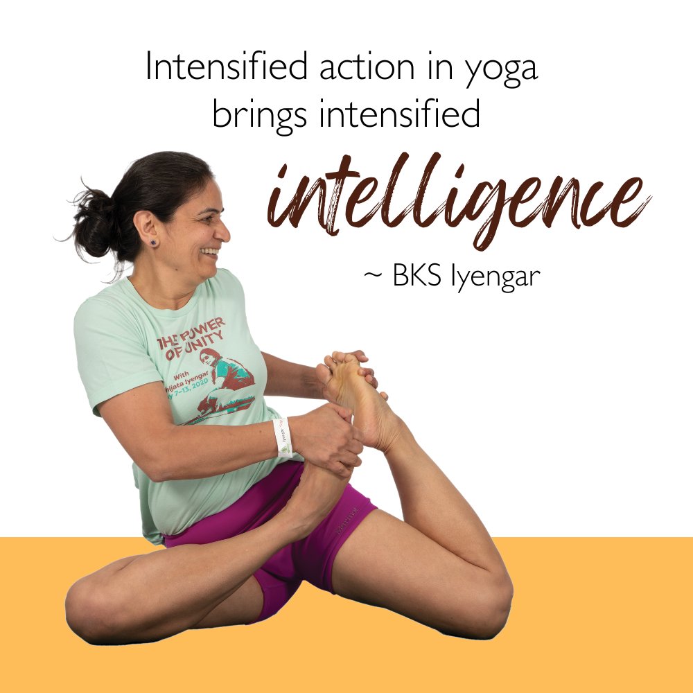 UKIYENGARYOGA's tweet photo. "Intensified action in yoga brings intensified intelligence" ~ B.K.S. Iyengar

#ThursdayThoughts #yogaeveryday #iyengaryoga https://t.co/KlSVsIadX3