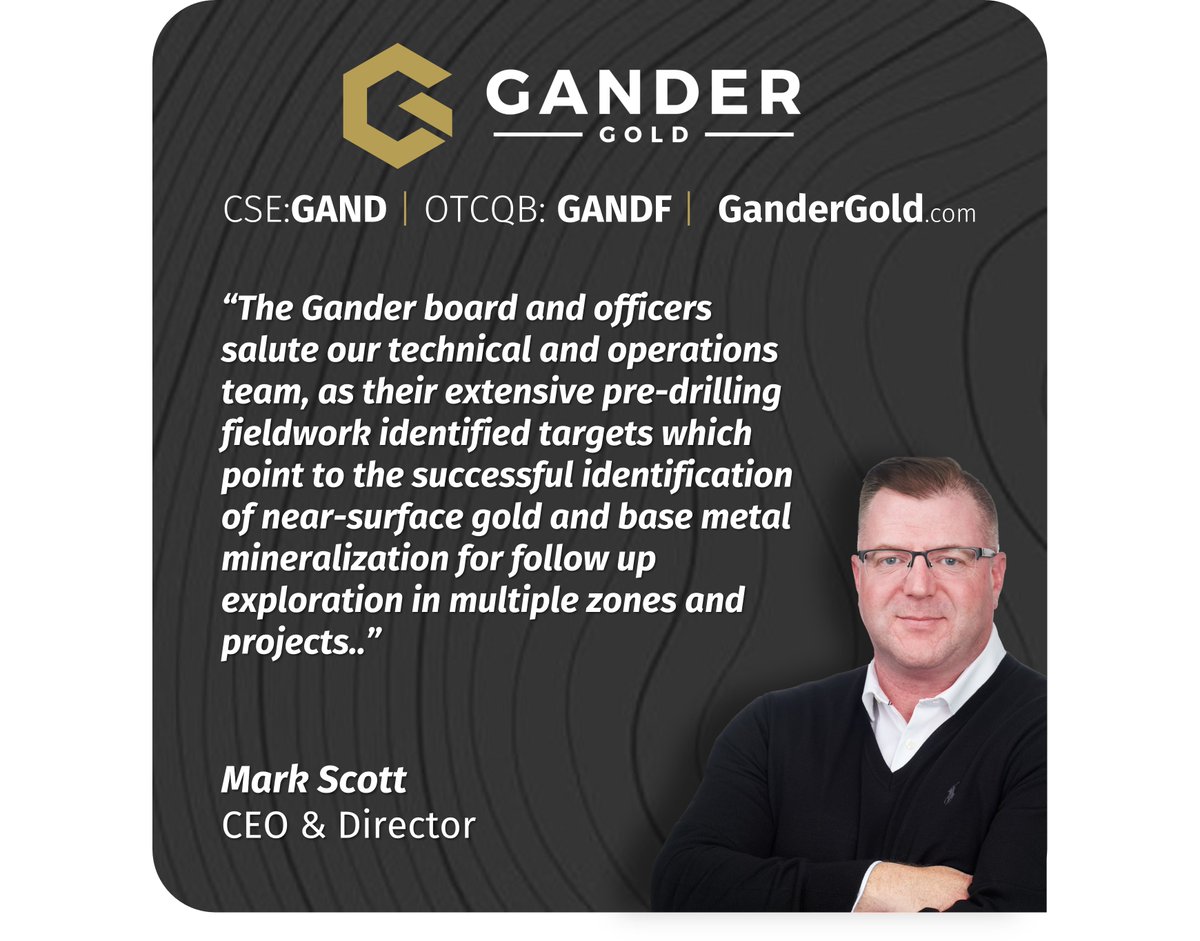 Gander Gold Corp. tweet media