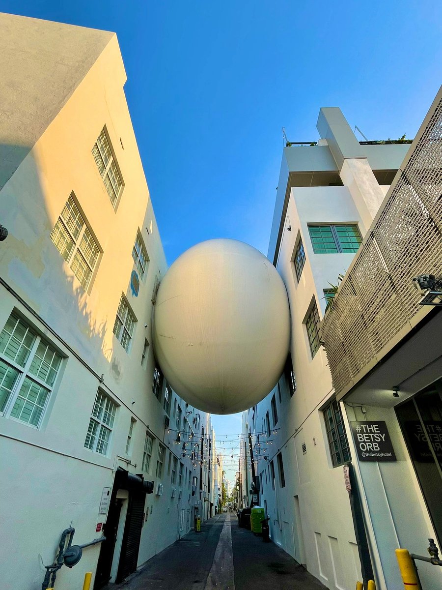 CarrieMartEEE's tweet image. Attitude often does not determine action, but action sometimes determines attitude.