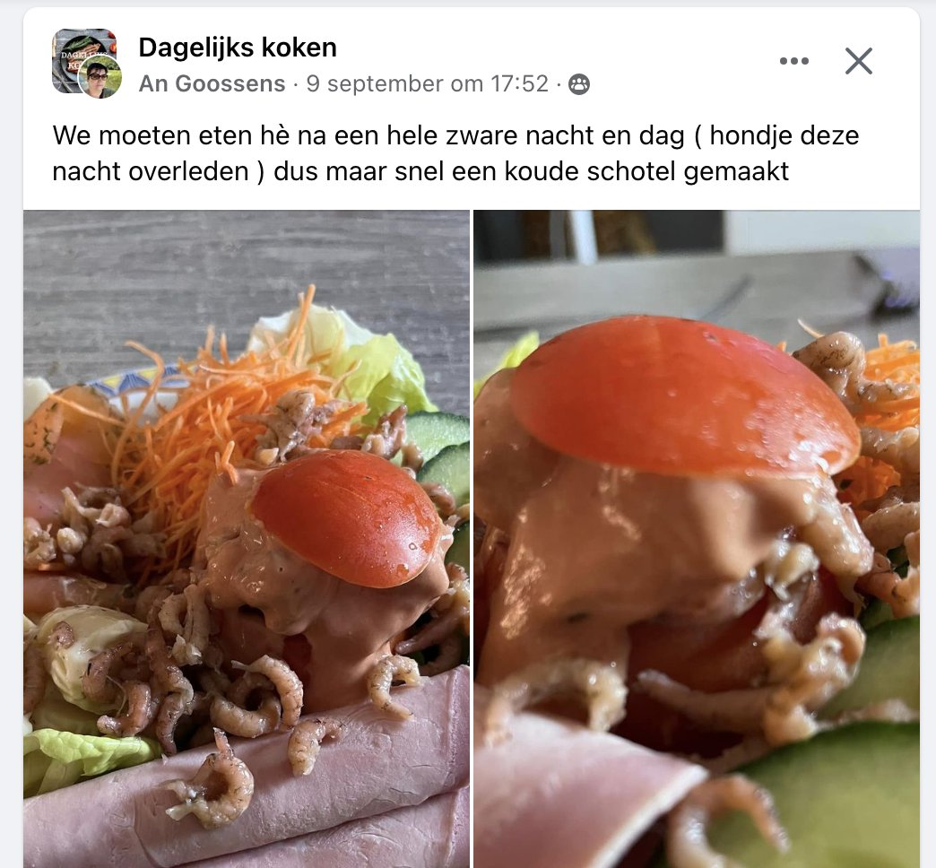 Hopelijk heeft de hond gesmaakt. Gecondoleerd.