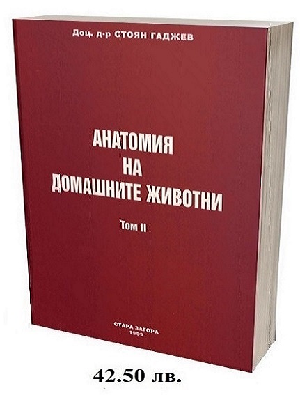 sgadjev_science's tweet photo. 📕 Анатомия на домашните животни, Том II, 396 стр., 113 фиг., 1999, ISBN 954-487-028-8! 🧑‍🎓👩‍🎓Академична година 2023/2024!  #ветеринарнамедицина #ветеринарнаанатомия #студенти #ветеринарнилекари #тракийскиуниверситет #българия https://t.co/Xew5ZfksQL