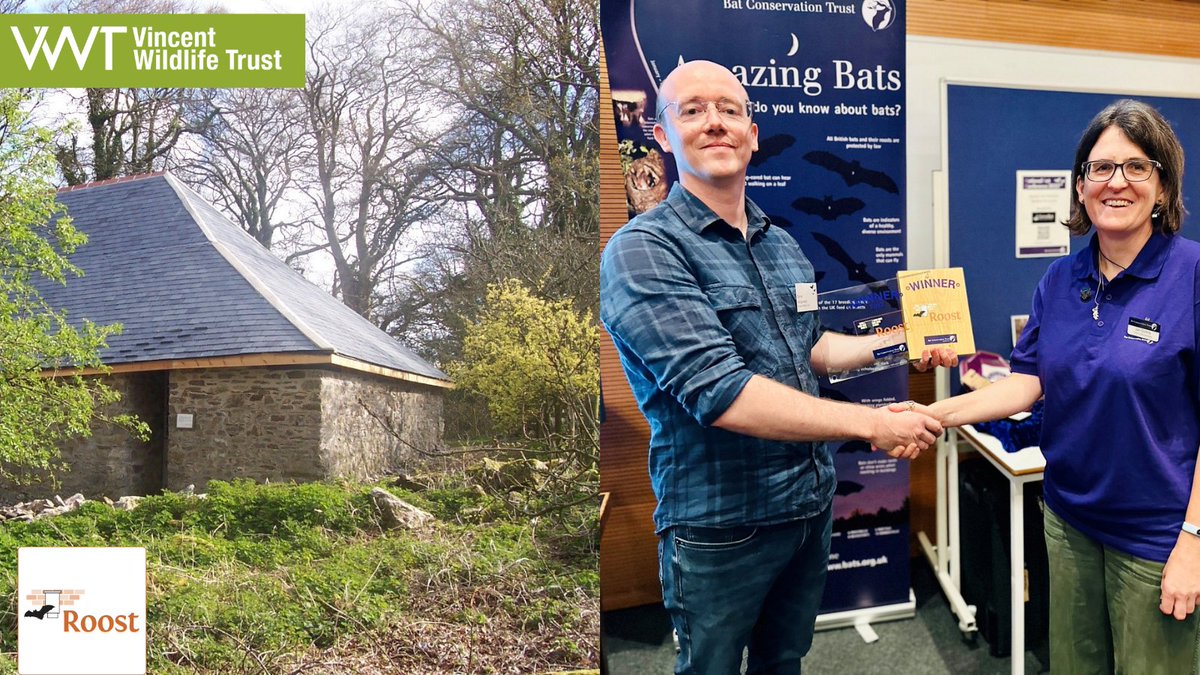 We’ve won an award! VWT is the winner of the @_BCT_ Roost Award 2023 for a roost in Devon that has been enhanced to protect against climate change and predators. Well done @TomKitchng, @MarinaBollo and Henry Schofield. More here… bats.org.uk/.../case-studi…