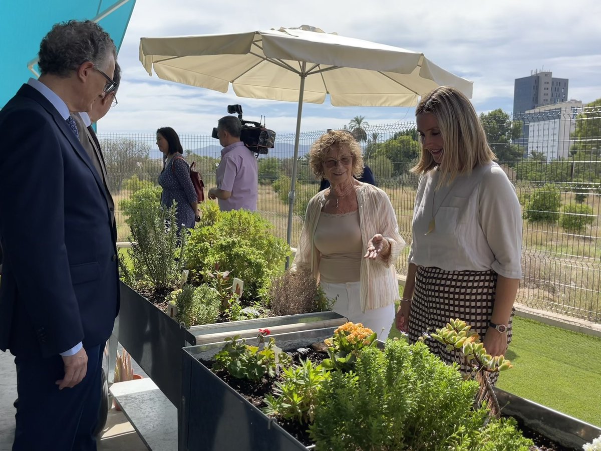 PolitSocialMur's tweet image. En el #DiaMundialDelAlzheimer @AFAMUR inaugura un parque biosaludable para que los usuarios se mantengan activos al aire libre

Desde hace 30 años la asociación es un referente en mejorar la calidad de vida de las personas con alzhéimer y de sus familiares
acortar.link/cMvUpe