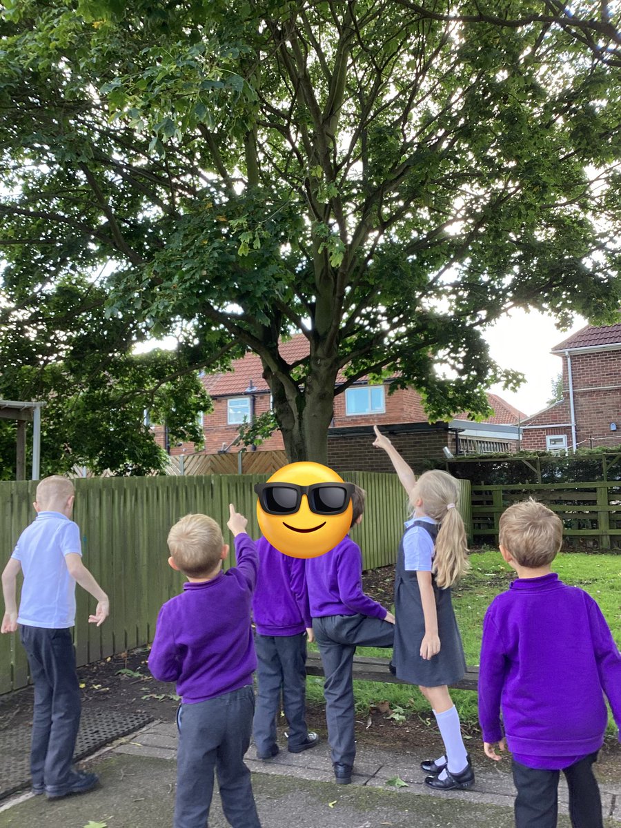 TadPrimaryAcad's tweet photo. Jupititer team observed the changes in the season from summer to autumn. We noticed the leaves had changed colour and it is getting cooler. @eboractrust #tadcasterscience https://t.co/t5LpmU5qNX