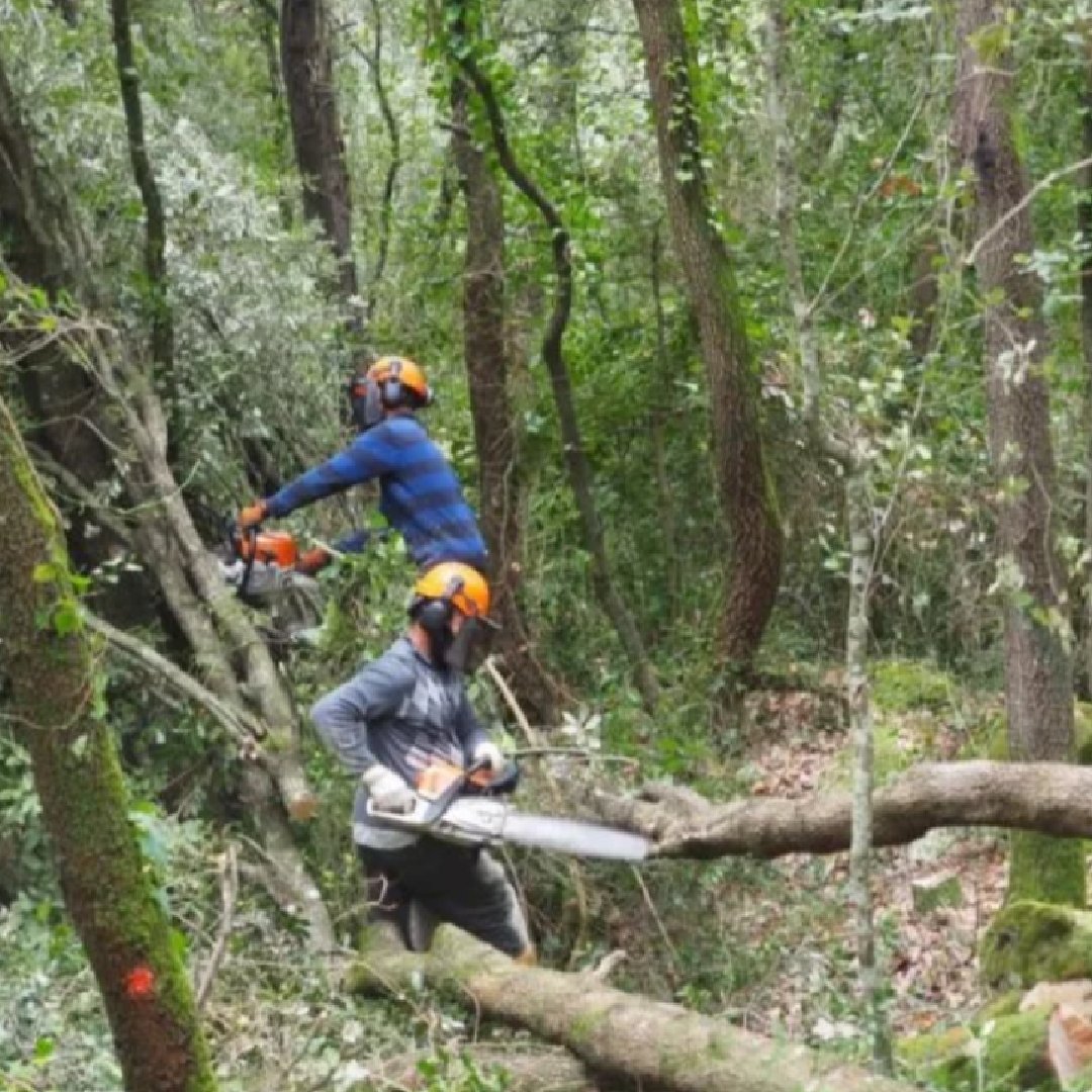 Seminari final <a href="/LifeBiorgest/">LifeBiorgest</a>.
Molt important integrar la conservació de la biodiversitat en la ordenació i gestió forestal.
Però encara mes important integrar la gestió forestal en les polítiques de conservació de la biodiversitat.
Adaptació a CC i Prevenció de grans incendis.