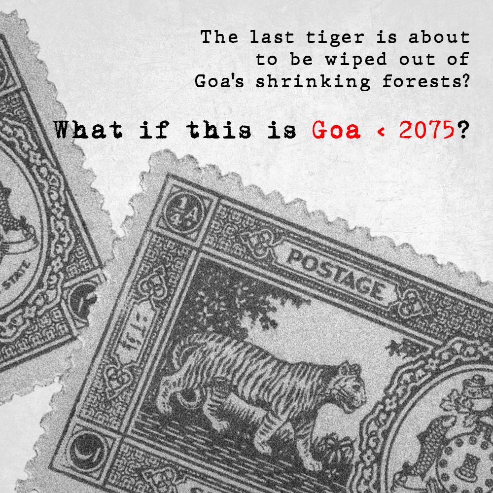 goa2075's tweet photo. Please like, follow and subscribe to this page to stay tuned for what's coming! https://t.co/nTo2DRRQC0