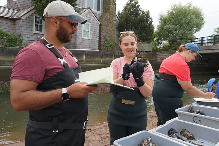 NOAAFish_NEFSC's tweet photo. Mariah Kachmar is a shellfish health/disease tech at our Milford Lab. In her new blog, she talks about studying #CT and #NY #oyster beds and shares her best field sampling tips, including how to prevent getting sunburned and hangry: https://t.co/jRrJFgnfmx. https://t.co/BZfgu5BGqS