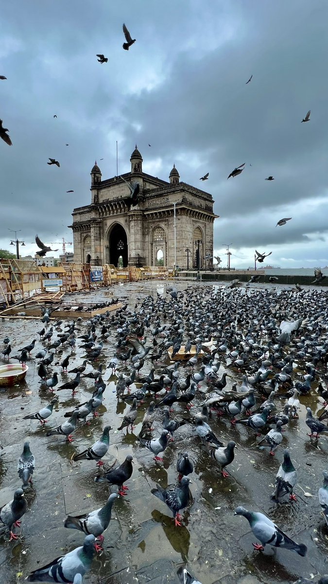 Dr. Rahul Baxi tweet media