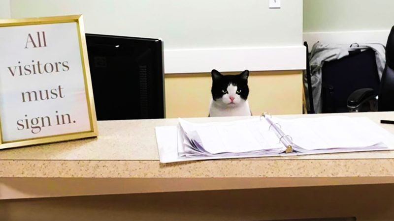 yoongi from tomorrow until 2025