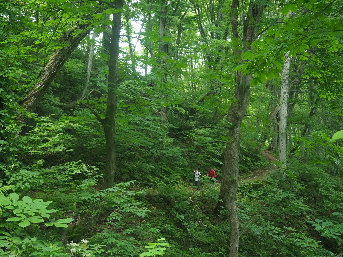 9月27日(水) 午後0:20
NHK総合「にっぽん百低山」
にゲスト出演させていただきます⛰️
吉田類さんとの山登り(青森・梵珠山)は最高に楽しかったです！！
公式サイトの予告写真、笑いました😂
私も写真をいただいたので、
ちょこちょこ載せていきます✨
nhk.jp/p/ts/NLKZP1Q6Y…
写真📷藤川満さん
