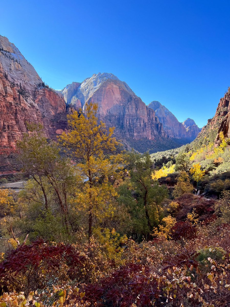 Good morning! We are now one day closer to 
🍁🍂fall 🍁🍂

📍Zion NP

#granolagirlaesthetics #hikinggirlvibes #naturegirlvibes #granolagirlvibes #latinagranolagirl #latinaoutdoors #natureaesthetic  #granolathings #timeinnature  #womenwhoexplore