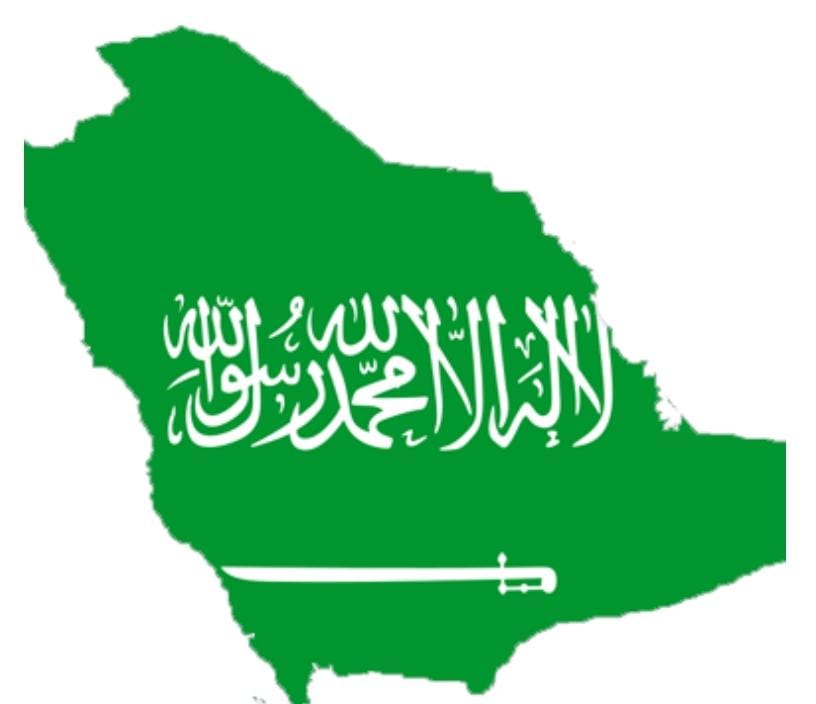 SaBakri's tweet photo. بدأت بالحرص على المحافظة على كلمة التوحيد فكانت نماء وأصبحت عطاء والنماء مازال ممتد  فهذه هي سيرتنا ( سيرة ومسيرة) سيرة تذدان من الأجداد لحد الأحفاد دام عزك ياوطني... https://t.co/ynY4MhAzaU
