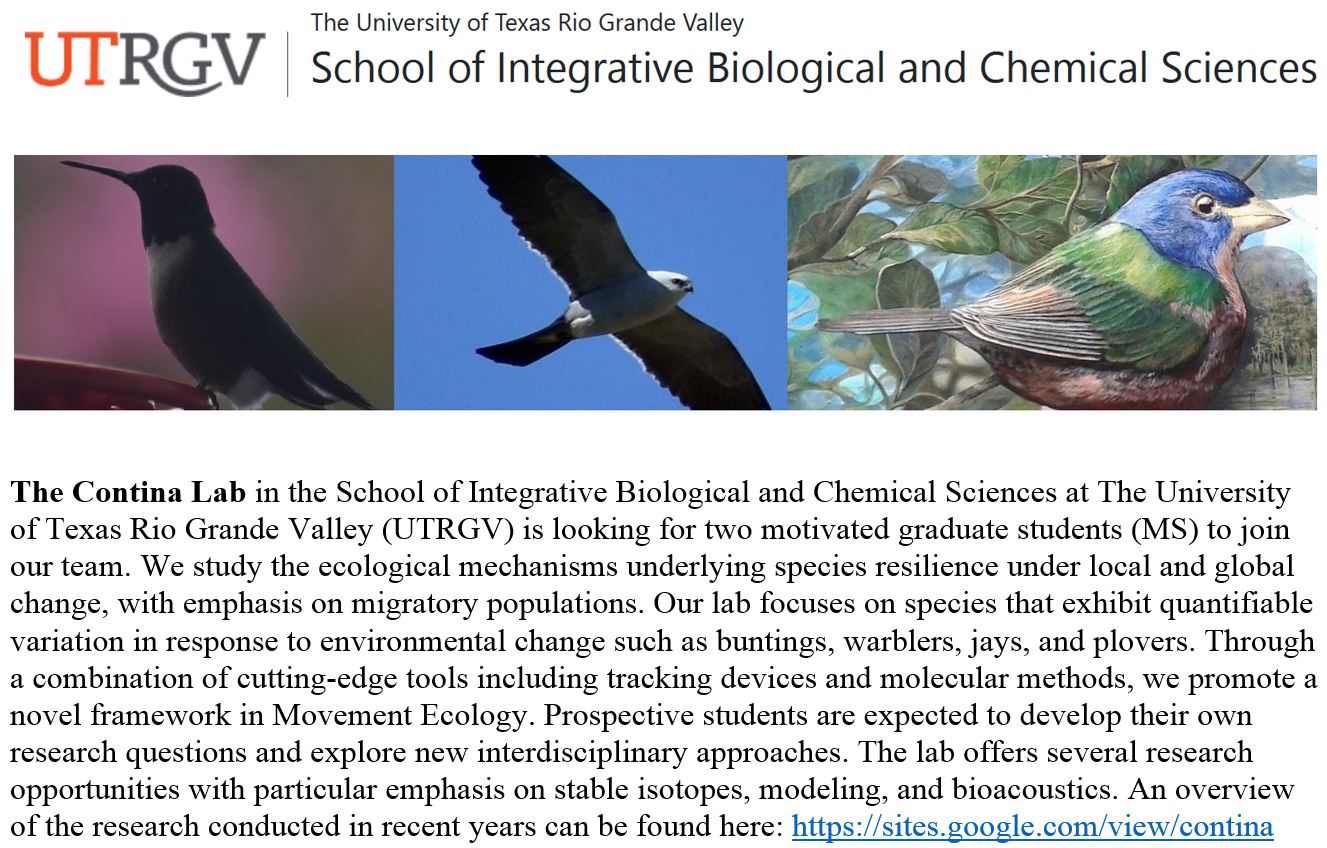 Utrgv Spring 2024 Application Deadline Roch Violet