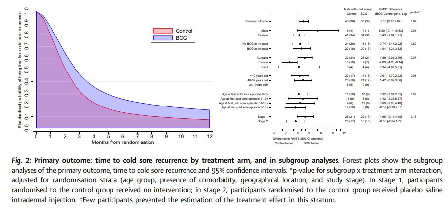 New RCT: #BCG #vaccination for protection against recurrent herpes labialis BCG-Denmark vaccination had a beneficial effect on herpes labialis, but may increase the risk of a first cold sore bit.ly/3RvuF9H @GweeAmanda @crisprat2010