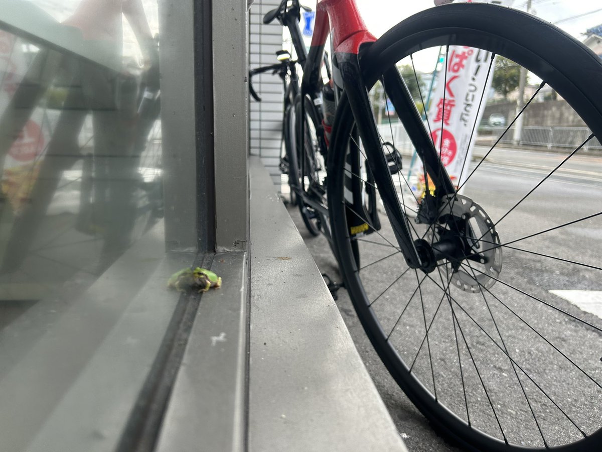 ryo1man's tweet photo. 久しぶりに90km近く走って、筋肉痛。

#チャレンジりべれ https://t.co/kfltnCleAC