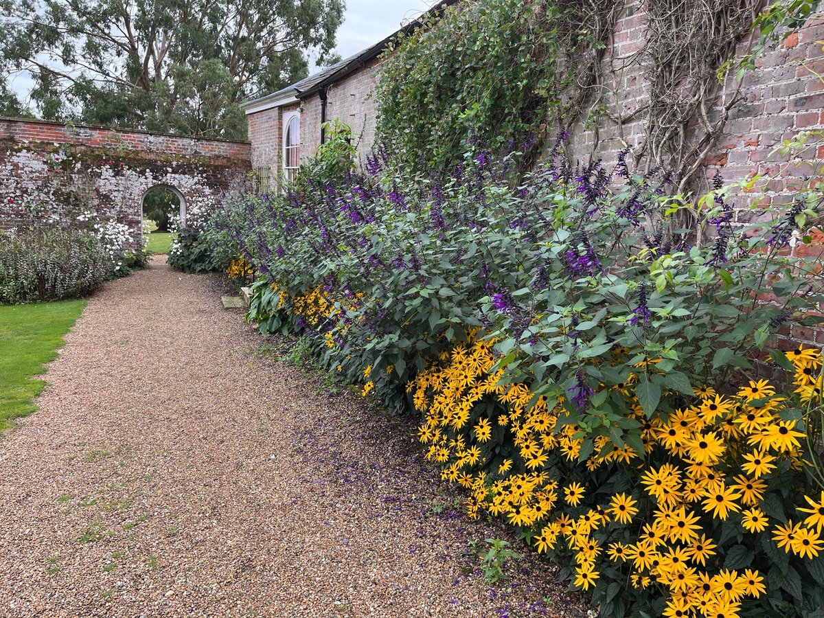 The Walled Garden pathway is looking wonderful #gw2for1 #historichouses