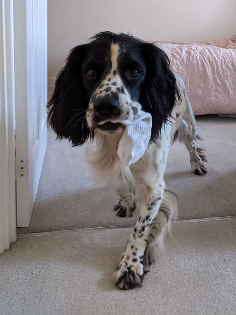 Birdwood Games tweet media